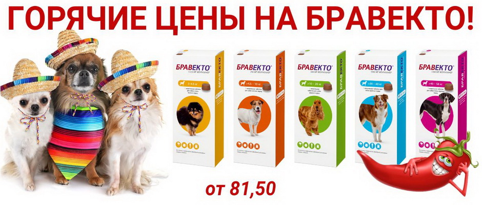 Ветаптека, зоотовары - Оскар