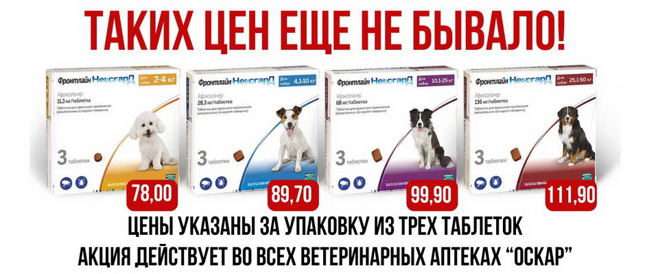 Ветаптека, зоотовары - Оскар