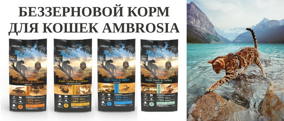 Ветаптека, зоотовары - Оскар