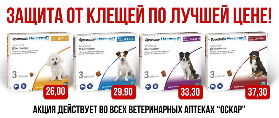 Ветаптека, зоотовары - Оскар