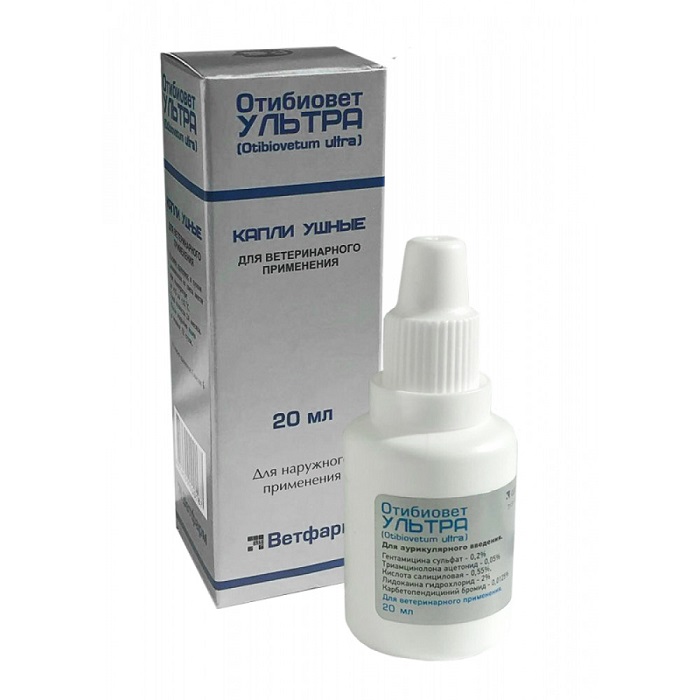 173eaf1d-6bda-4e1c-a092-a821f85c556e-1