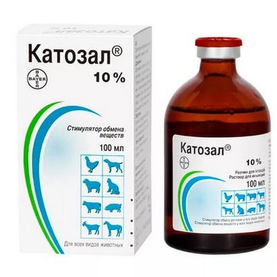 353bb44b-2999-41ca-8191-a2168b1cfc48-3