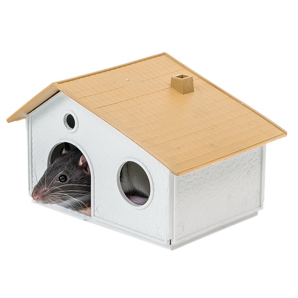 43985945-0153-46b9-bb2d-d29cebb5f404-3