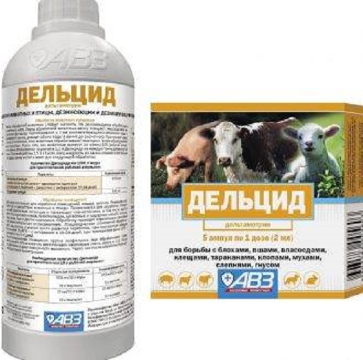 4aa663ab-13ad-4ad1-a755-cbb9e71144c2-1