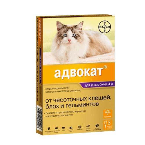 8fa2c9d2-285e-46a2-b7d8-3c0abe73e106-1