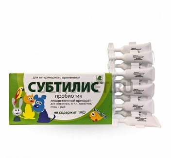 b21ae025-9da6-4b81-93f2-563d052ea8bf