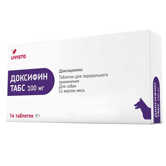 dd2dffec-c146-443a-bb8f-c31f5e4a8ed3-1