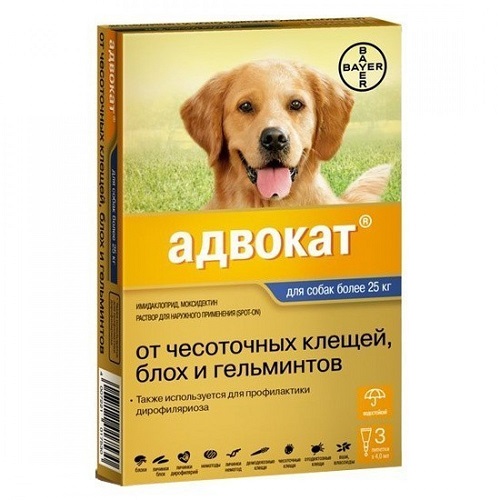 fd76f418-619b-49c9-b077-51f66ea98277-1