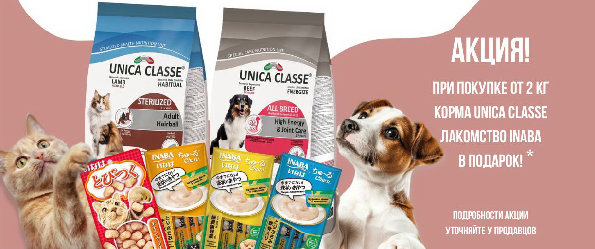 Ветаптека, зоотовары - Оскар