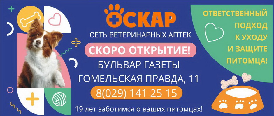 Ветаптека, зоотовары - Оскар