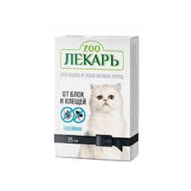 168f9cc0-e6a3-406f-9592-5b40518d1f2c