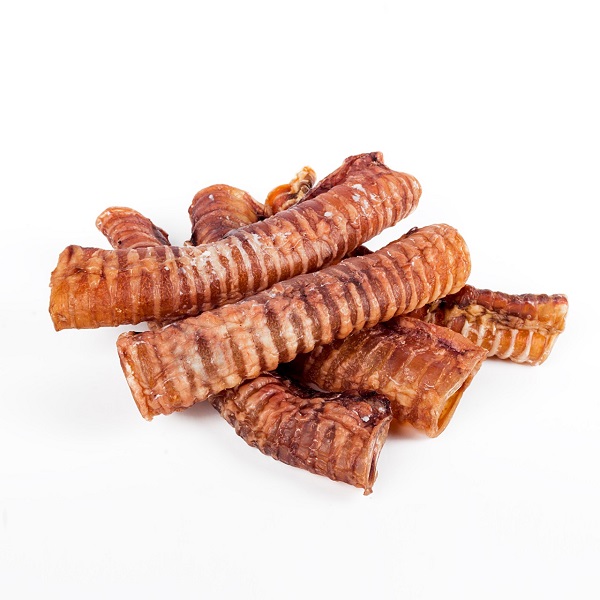 23ec8a65-e343-4c45-a63e-a036028365e3