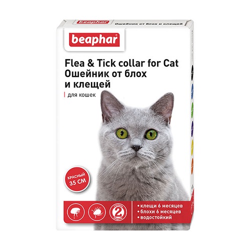 6dc58d02-42c4-42c9-b85d-285c443bbe3c