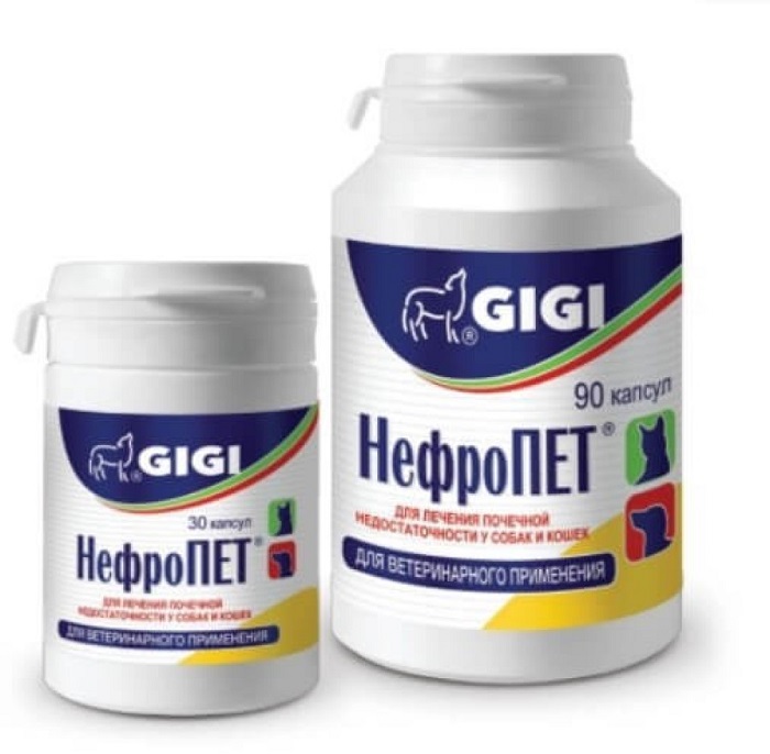 872ea75b-e35c-44a8-b5d1-433a527d6640