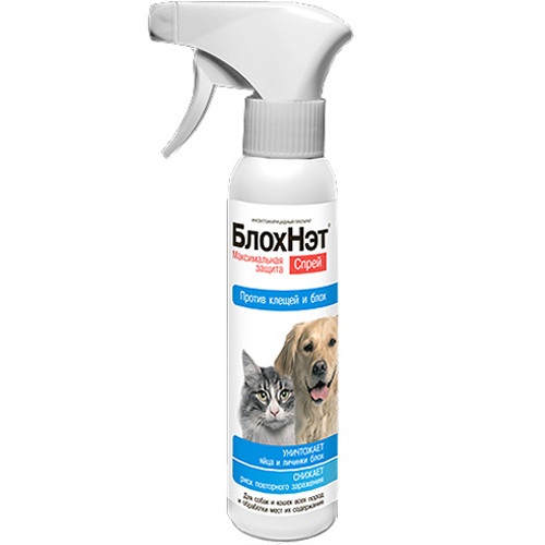 bafe06b4-7949-4d5c-ad92-8dcafe1aacc7