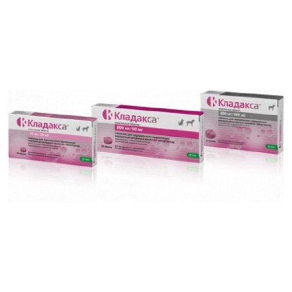 c49491c9-5688-4062-b4c4-ba1d5b33c531