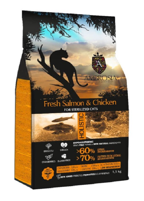 d7ae4219-2d10-411c-a6c9-0a4e5c4760d9