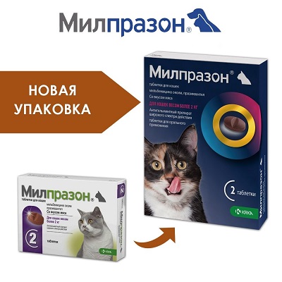 bf09e0da-1286-4b61-aed6-aa444184ce0b
