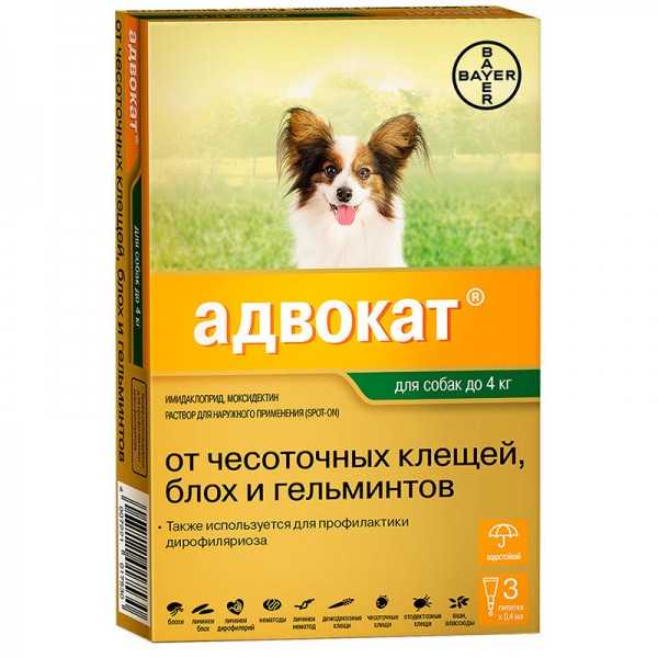 ac64cb8a-03cf-4325-adb8-17ad34b1b77d-1