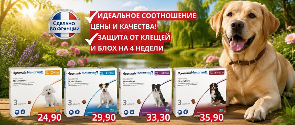 Ветаптека, зоотовары - Оскар