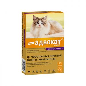 Капли на холку