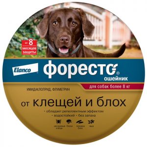 Ошейники