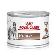 ROYAL CANIN Recovery Canine & Feline (195 г) корм для собак и кошек в период выздоровления