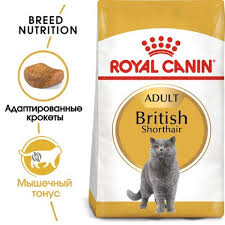 Royal Canin British Shorthair Adult корм сухой для взрослых кошек Британской породы
